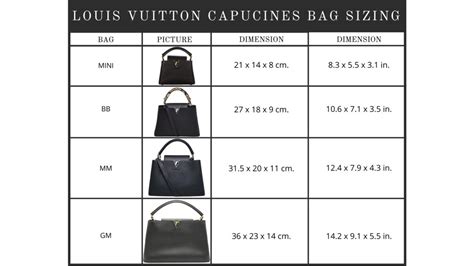 louis vuitton capucine sizes|louis vuitton size chart.